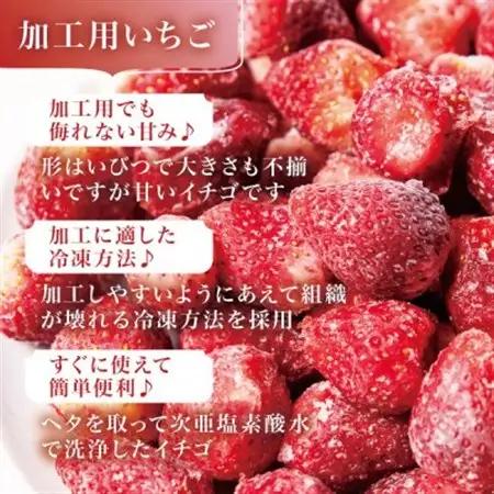 宮城県産 完熟冷凍いちご 2kg(1kg×2袋)【加工用・ご家庭用】ヘタ無しで便利♪通年出荷_果物・フルーツ いちご  イチゴ 苺_【配送不可地域：離島】【1497570】