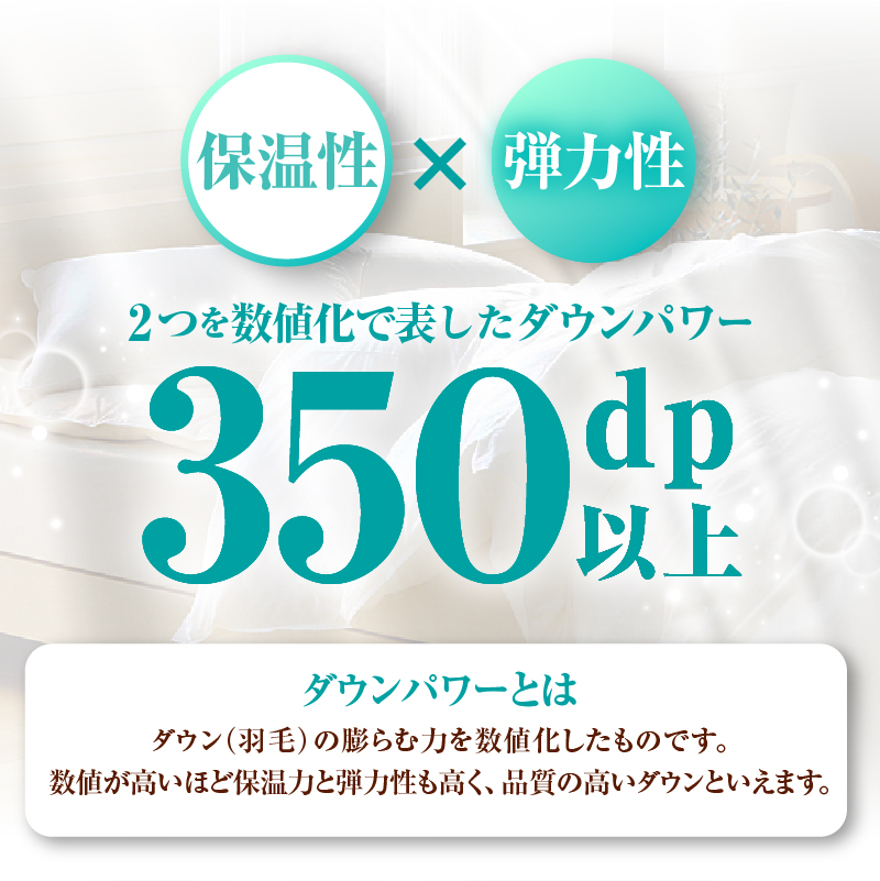 【数量限定・訳あり】羽毛ふとん　ダブル　ホワイトダウン８５％使用　【柄お任せ】