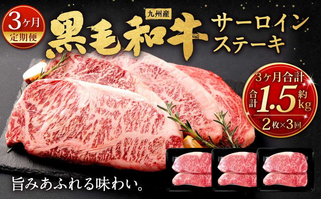 
【3ヶ月定期便】 九州産 黒毛和牛 サーロインステーキ 合計約1.5kg (約250g×2枚×3回) 牛肉 国産 ステーキ サーロイン 牛肉 お肉 国産 日本産
