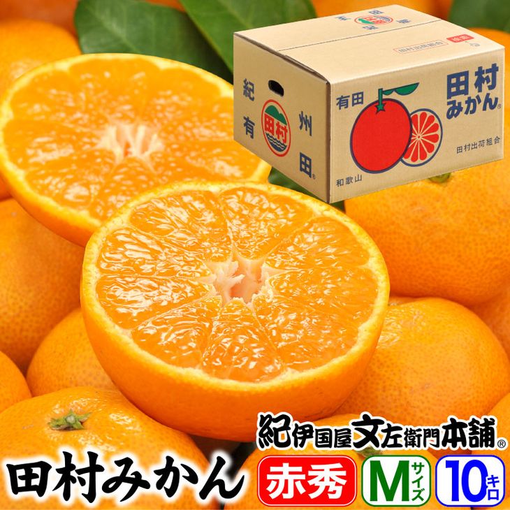 V7443_田村みかん／特選ギフト品10kg【Mサイズ】赤秀