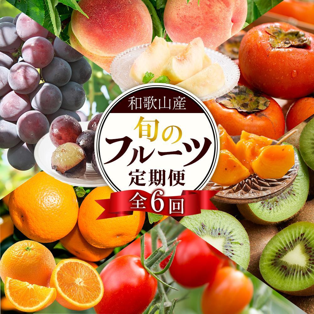 【ふるさと納税】和歌山の旬の果実を 奇数月にお届け全6回定期便（キウイ・清見オレンジ・ミニトマト・桃・ピオーネ・富有柿）【TM62】 | フルーツ 果物 くだもの 食品 人気 おすすめ 送料無料