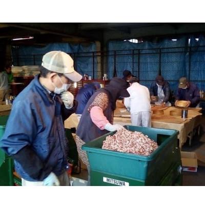 ふるさと納税 南アルプス市 【2026-06-30〜発送開始】すもも[希少品種]サマーエンジェル「夏の天使〕精選大玉約1.5kg |  | 03