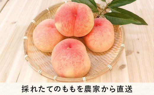 【 お中元 / お歳暮 を一度の寄付でいかがでしょうか 】 （ 2回 定期便 ） 桃 3kg ＆ りんご 5kg Dコース 配送先は本州限定 桃 ：2025年8月上旬頃～2025年8月下旬頃まで発送 