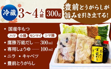 【くぼて鷹勝　卜仙の郷】鷹勝 和風もつ鍋セット（３〜４人前）300g 【株式会社鷹勝カレント】　《豊前》　熊本産 博多 国産 牛もつ鍋 モツ ホルモン 九州 グルメ[VAK015]