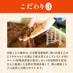 熊福こだわり美豊卵　60個　3か月定期便