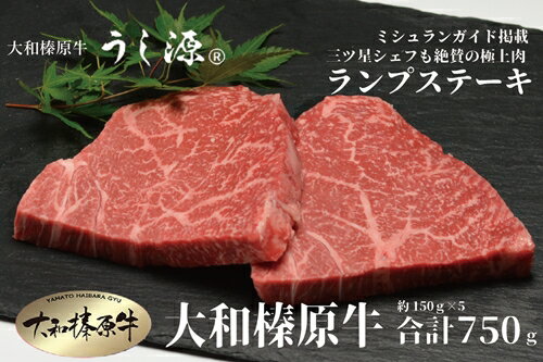 【ふるさと納税】【年内配送 12/24まで受付】（冷凍） 大和榛原牛 稀少部位 赤身 あっさり もも ランプ ステーキ 150g×5枚 計750g ／ うし源 本店 正月 A5 牛肉 お肉 和牛 お取り寄せ キャンプ BBQ アウトドア 父の日 母の日 奈良県 宇陀市 お中元 お土産 内祝い 送料無料