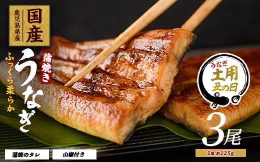 【丑の日に合わせてお届け！】【鹿児島県産】うなぎ蒲焼じっくり焼き約125g×3尾 化粧箱入り(大新/016-1900u)【2025年7月9日～7月19日お届け】 鰻 ウナギ 蒲焼 国産 丑の日 うな重 無頭 ギフト プレゼント 贈り物 贈答 惣菜 総菜 小分け レンジ 簡単 蒲焼き 冷凍 鹿児島県産