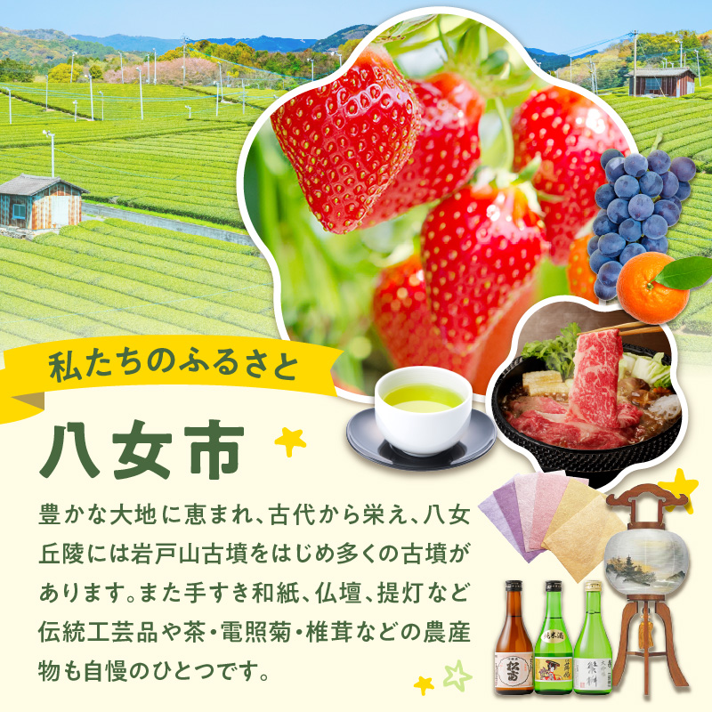 奥八女の茶葉を使った 三種の八女茶新茶セット 合計300g【2026年5月以降発送】 深蒸し茶 煎茶 白折 茎茶 日本茶 お茶 緑茶 新茶 福岡県 八女市