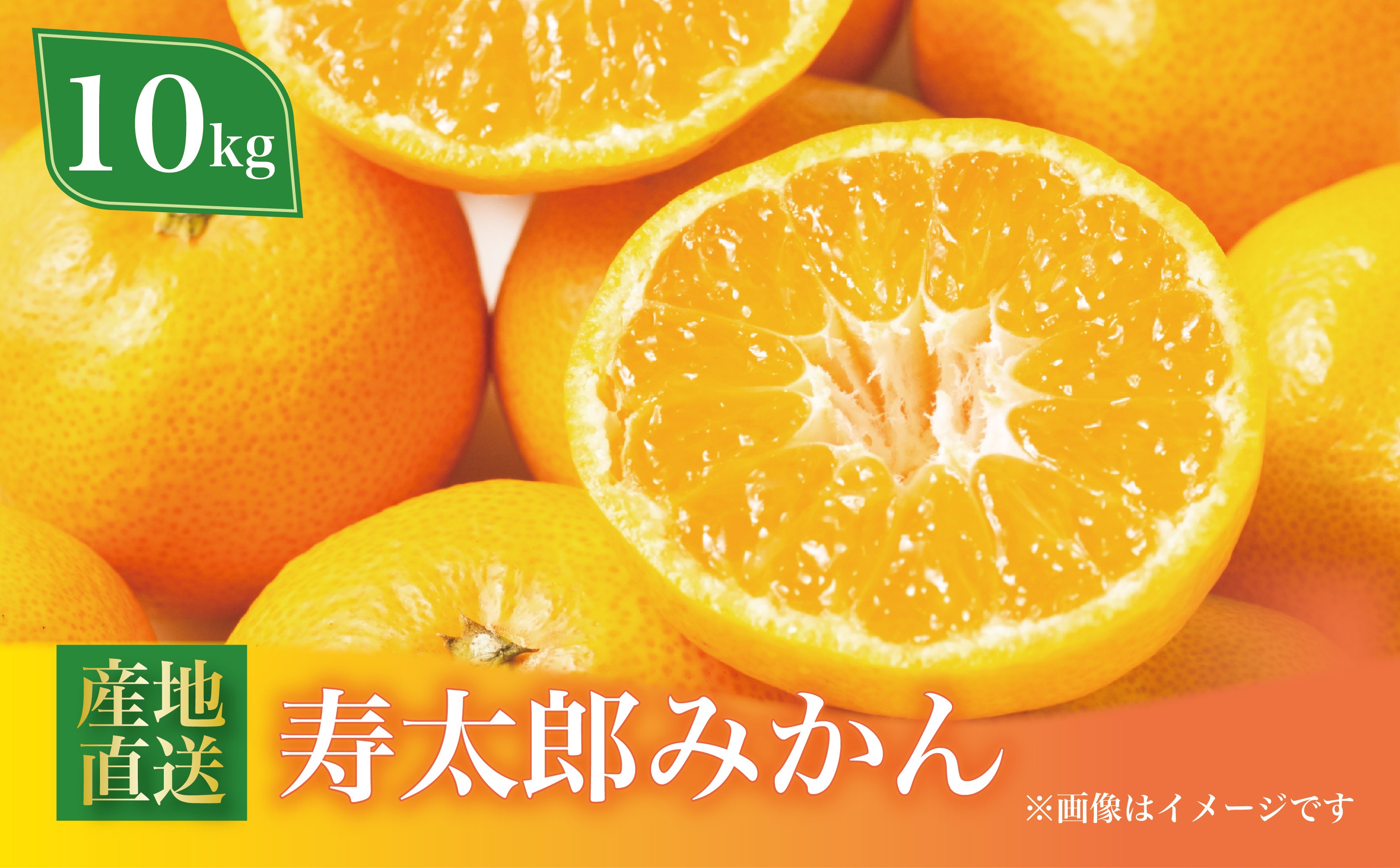
                  寿太郎 みかん 約10kg 西浦 柑橘 本格 貯蔵 熟成 数量限定 みかん 果物 フルーツ 柑橘 ミカン 国産 静岡 沼津
                