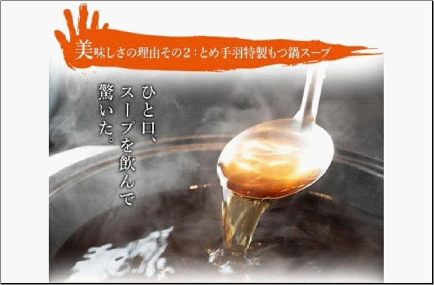 九州名物 とめ手羽 博多もつ鍋セット 九州しょうゆ味 5～6人前