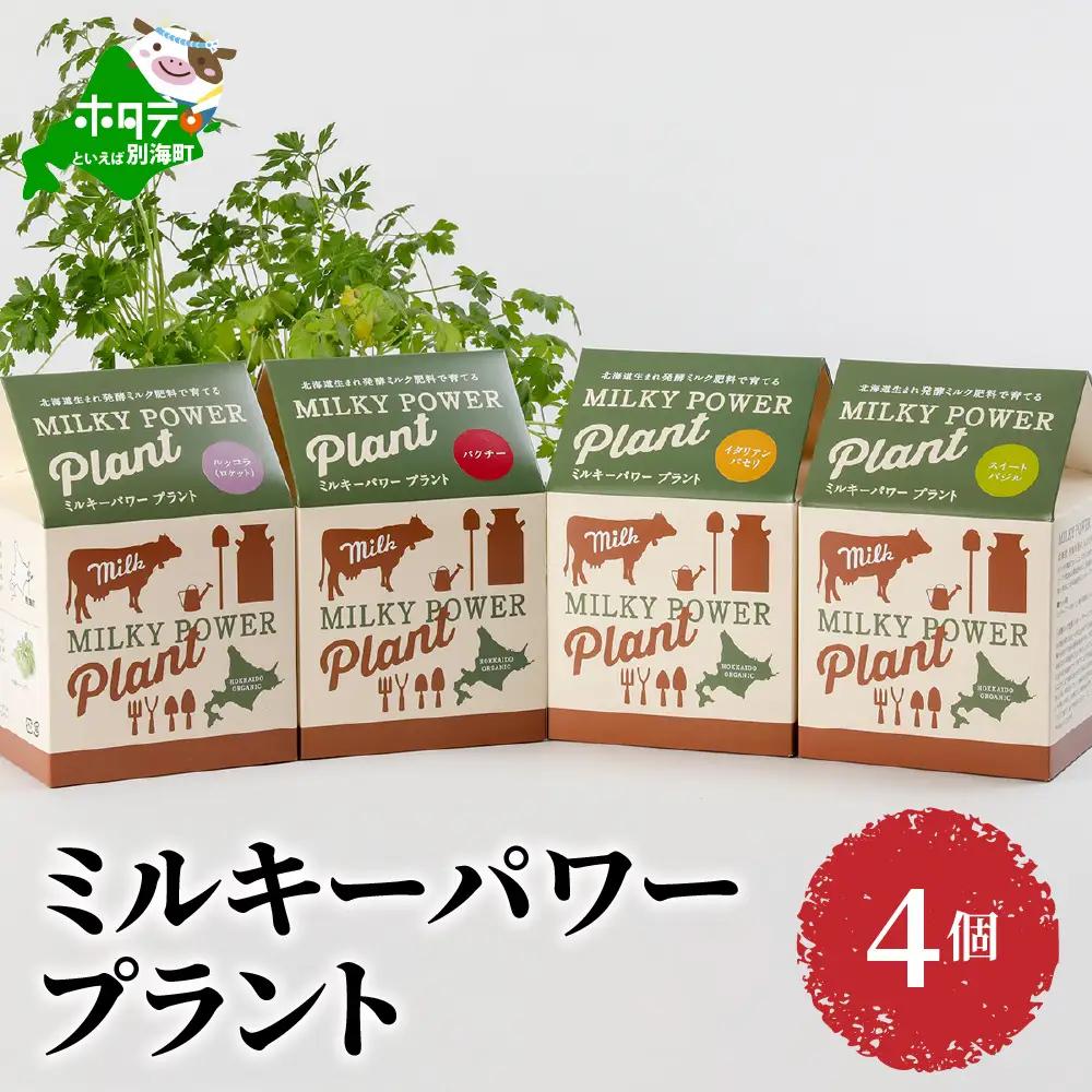 ミルキーパワープラント4個  （ 北海道 別海町 人気 ふるさと納税 ）