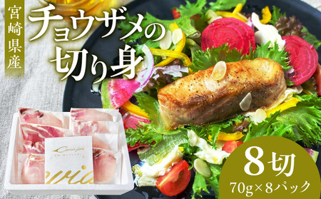 宮崎県産チョウザメの切り身70g×8パックセット 国産 宮崎県産 チョウザメ 切り身 切身 70g 8パック 高タンパク質 タンパク質 魚 冷凍 小分け パック 真空パック 唐揚げ ガーリックソテー
