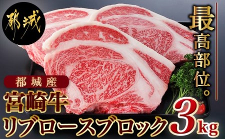 宮崎牛リブロースブロック3kg_DI-2501_(都城市) 都城産宮崎牛 リブロースブロック ３kg 霜降り肉 ローストビーフ ステーキ ビーフカレー キャンプで豪快に 鉄板焼き 国産 ブランド牛 牛肉 ギフト 贈答用