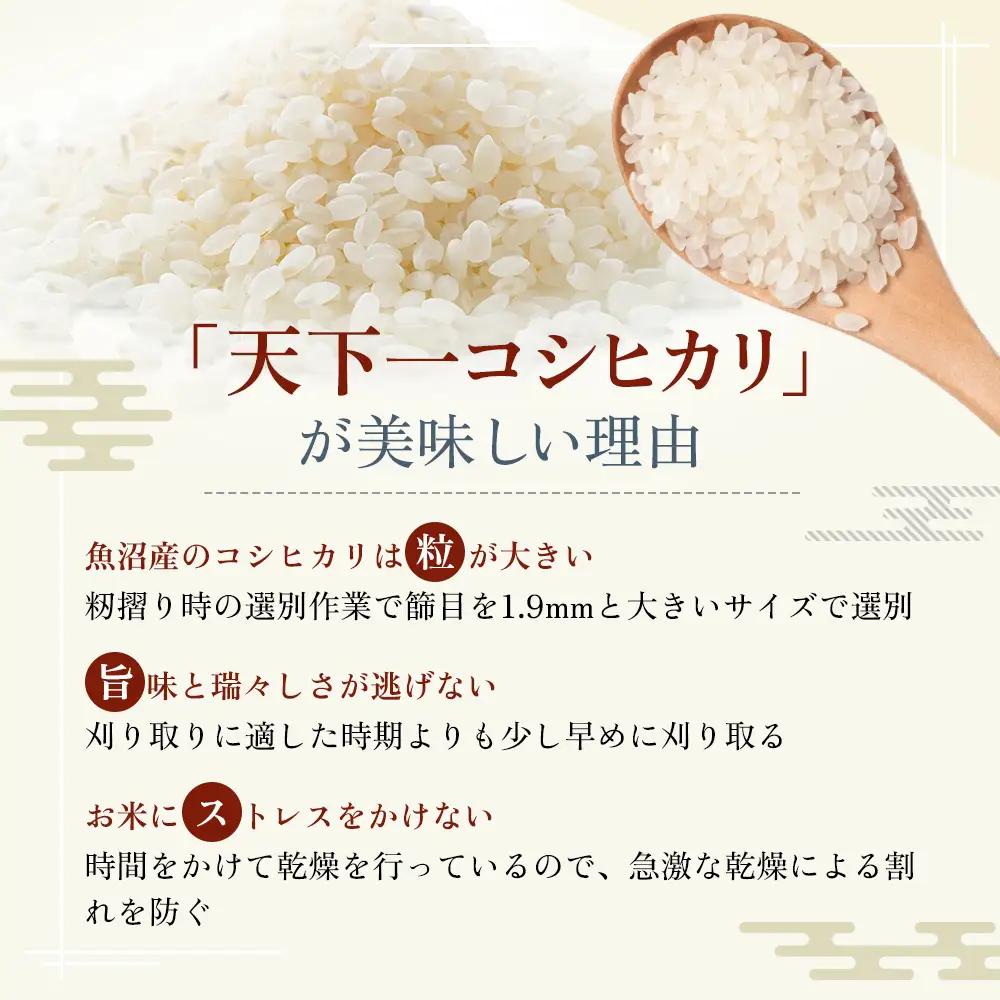 令和7年産 魚沼 天下一コシヒカリ（商標） 3kg 本当に旨い飯に おかずはいらない 魚沼産 コシヒカリ ( 米 お米 こめ コメ おこめ 白米 こしひかり ) 新潟県 
