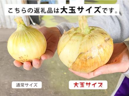 【大玉10㎏】兵庫県認証★特別栽培★淡路島新たまねぎ