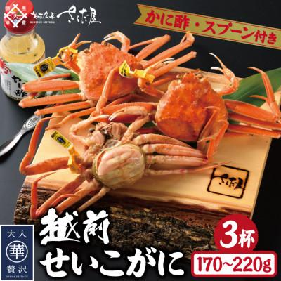 ふるさと納税 越前町 浜茹で越前せいこがに約170〜220g3杯　かに酢&amp;かにスプーン付き