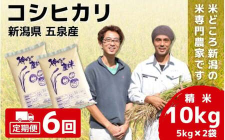 【令和6年産新米】〈6回定期便〉「わくわく農場」の五泉産 精米 コシヒカリ 10kg(5kg×2袋)［2024年10月中旬以降順次発送］ わくわく農場