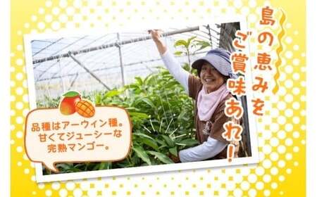JH001　宮古島産マンゴー１㎏【㈱フラモン】