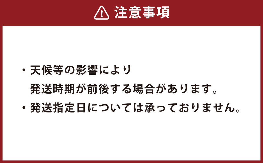 金時いも 10kg(5kg×2) さつまいも いも 芋