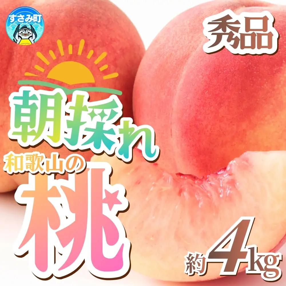 桃 朝採れ和歌山の桃 秀品約4kg【tec911B】