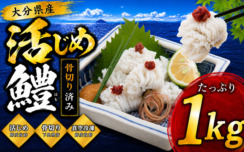 大分県産活じめ鱧（はも）1本物 たっぷり 1キロ 骨切り切身 ＜108-006＞