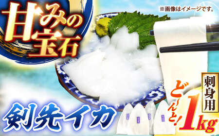 剣先イカ 刺身用 1kg [JCC021] イカ刺し