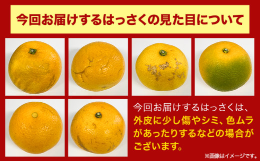 【訳あり/ご家庭用】はっさく 約4kg (4L~Sサイズ サイズ不選別) 早生･晩生指定不可《2月上旬-4月中旬に出荷予定(土日祝除く)》和歌山県 岩出市 産地直送 みかん 八朔 柑橘 果物 フルーツ