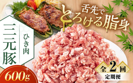 【全2回定期便】三元豚 ひき肉600g《喜茂別町》【平田牧場】 肉 豚肉 ミンチ 豚ミンチ 餃子 つくね 冷凍配送[AJAP118]