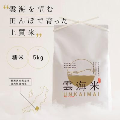 ふるさと納税 南魚沼市 令和8年産予約　「雲海米」南魚沼塩沢産コシヒカリ　精米5kg