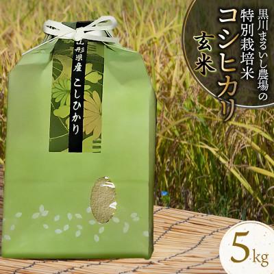ふるさと納税 鶴岡市 【令和7年産】特別栽培米コシヒカリ 玄米 5kg 黒川まるいし農場[K-740]