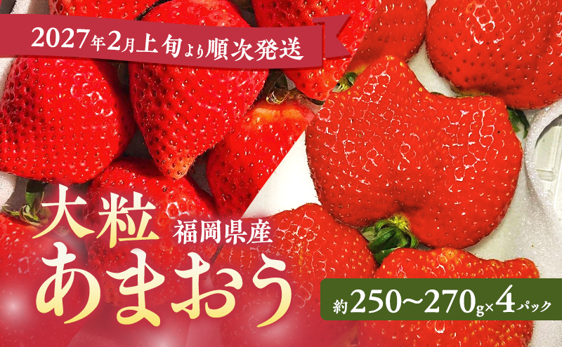 あまおう 【2027年2月上旬より順次発送】大粒あまおう 4パック イチゴ 苺 いちご 果物 福岡県産 ※配送不可:離島
