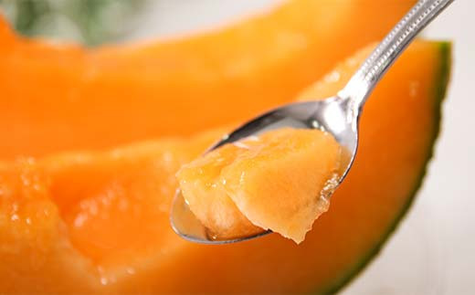 糖度15度前後の北海道赤肉メロン