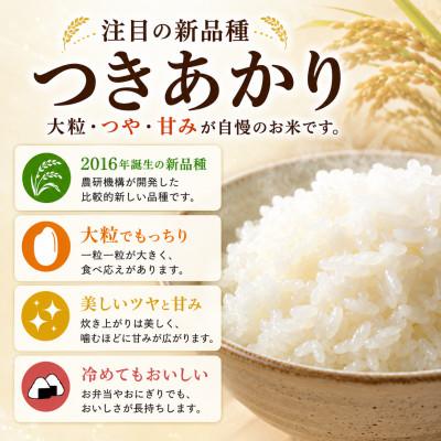 ふるさと納税 茅野市 つきあかり　精米　10kg(5kg×2袋) |  | 01