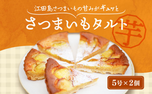 気づけばぺろり必至！てくてくのさつまいもたると ホール5号× 2個セット サツマイモ さつま芋 バターケーキ 焼き芋 スイートポテト 大学芋 さつまいも スイーツ 詰め合わせ セット 和菓子 洋菓子 お取り寄せ グルメ 人気 おすすめ スイーツ さつまいも おやつ 個包装 贈答品 リピート ギフト 人気 高品質 好評 広島県産 江田島市/峰商事合同会社[XAD063]