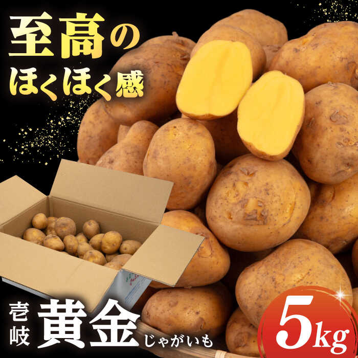 【ふるさと納税】【2026年2月以降順次発送】壱岐黄金じゃがいも 5kg 《壱岐市》【壱岐市農業協同組合】[JBO139] じゃがいも ジャガイモ ポテト 野菜 季節の野菜 夏野菜 冬野菜 11000 11000円