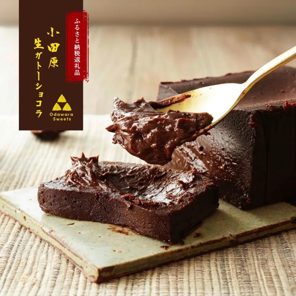 極上の口溶け。幸せの生ガトーショコラ 500g【 高級 濃厚  極上スイーツ グルテンフリー チョコ ショコラテリーヌ 高品質クーベルチュールチョコレート使用 一流シェフ 神奈川県 小田原市 ガトーショコラ ガトーショコラ】