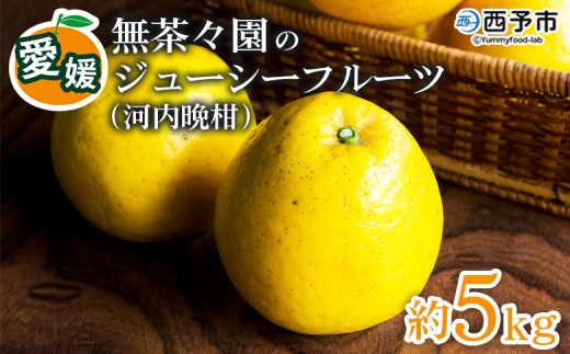 ＜無茶々園のジューシーフルーツ（河内晩柑）約5kg＞ 果物 フルーツ 選べる内容量 かわちばんかん みかん ミカン 蜜柑 柑橘 期間限定 季節限定 食べて応援 特産品 愛媛県 西予市 【常温】