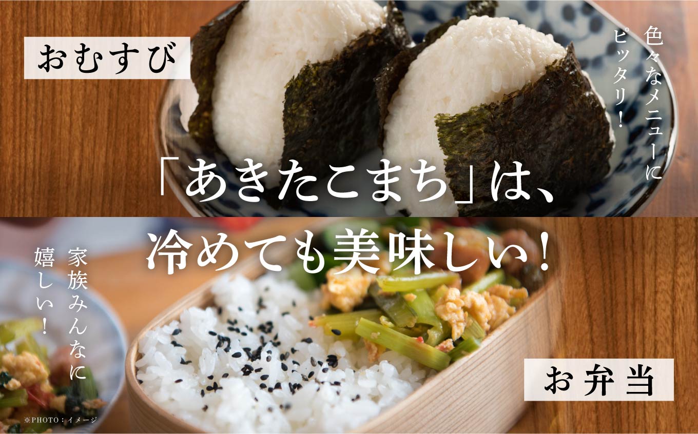 《先行予約》令和8年産 新米 あきたこまち 10kg 精米 直送 米 お米 こめ おこめ コメ コスパ ブランド米 産地直送 贈り物 プレゼント おいしい お米 秋田こまち 秋田県潟上市 【鎌仁商店】