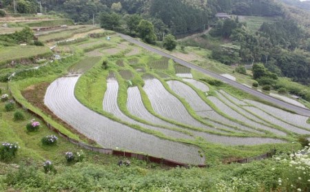 福岡県 苅田町への寄付(返礼品はありません) 1口 10万円