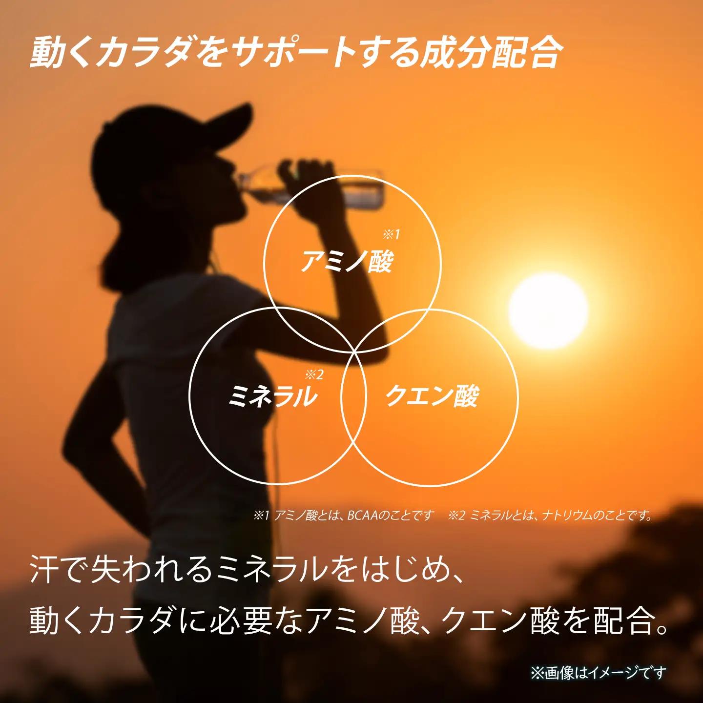 アクエリアス 500mlPET_24本入り×1ケース｜ スポーツドリンク 水分補給 熱中症対策 アクエリ