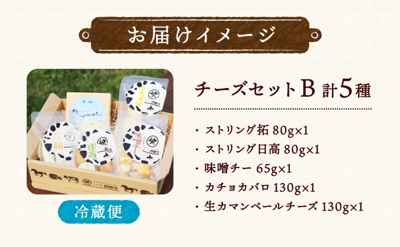 チーズ工房1103 チーズセットB 計5種 ストリング拓 ストリング日高 味噌チーカチョカバロ 生カマンベール チーズ チーズセット 乳製品 まろやか クリーミー あっさり アレンジ 送料無料 ギフト
