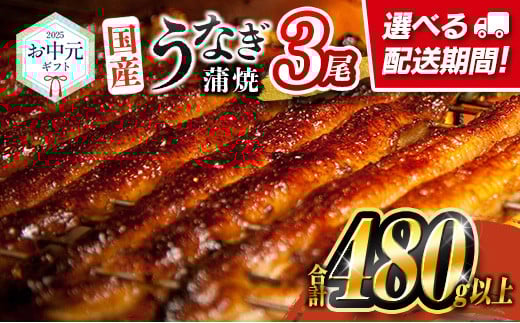 ［8月1日～8月15日にお届け］お中元専用 国産 うなぎ 蒲焼 3尾（無頭）計480g以上 高評価 おすすめ 冷凍 個包装 化粧箱 鰻 贈り物 贈答品 ギフト 鰻楽【N69】