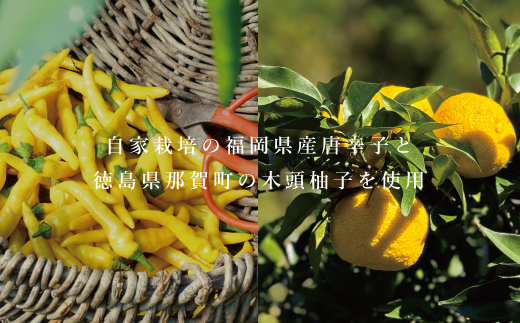 ZH179.YUZUGO～極みの黄色柚子胡椒～