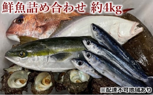 [№5681-0122]旬の獲れたて鮮魚詰め合わせ 約4kg