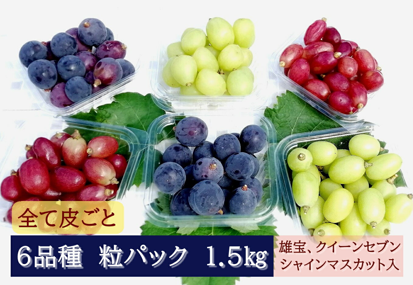 【ふるさと納税】【2026年発送分先行予約】全部皮ごと・農家自慢の6品種パック 1.5kg　ナガノパープル・クイーンセブン・雄宝入り　250gパック×6個　8月下旬発送