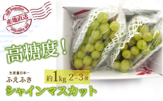 【2026年発送★先行予約】厳選！ 山梨県笛吹市産シャインマスカット 約1.0kg(2～3房) 156-009-26y | シシャインマスカット 発送 笛吹市 山梨県 フルーツ 果物 ぶどう 葡萄 贈答 ギフト 産地 ふえふき 種なし 高級 新鮮 笛吹 国産 人気 1kg 先行 予約 シャイン マスカット