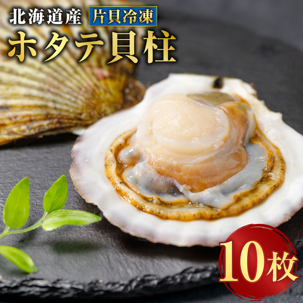 【ふるさと納税】 北海道産 ホタテ貝柱 片貝冷凍 10枚 ホタテ ほたて 帆立 貝柱 魚介類 水産物 ごはんのお供 ご飯のお供 お酒のお供 おつまみ 海鮮 BBQ バーベキュー 冷凍 国産 北海道 釧路市 送料無料