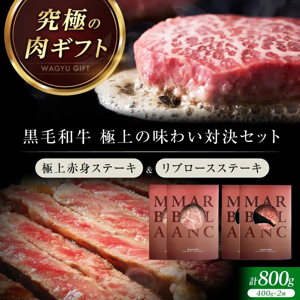 熟成肉 リブロース＆極上赤身ステーキ 800g[AOAS033] ステーキ