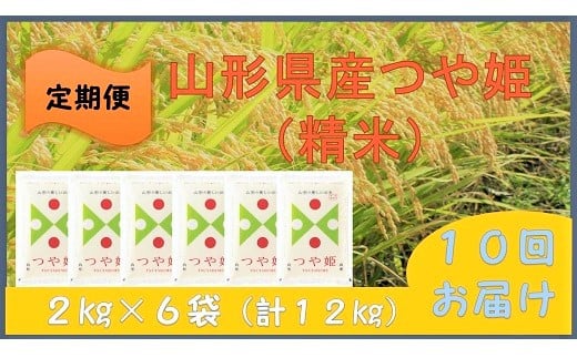 【定期便】令和６年産 つや姫１２ｋｇ（２ｋｇ×６袋）×１０か月連続お届け　0059-2432