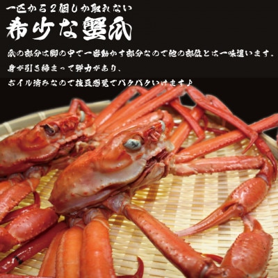 【枝豆感覚でパクパク♪イケルっ】浜ゆで 紅ズワイ 蟹爪 1.5Kg 北海道 稚内市 国産【配送不可地域：離島】